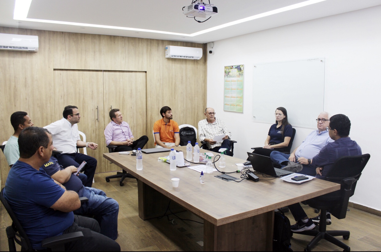 Produtores de uvas do Vale do São Francisco vão ampliar exportações para os Estados Unidos