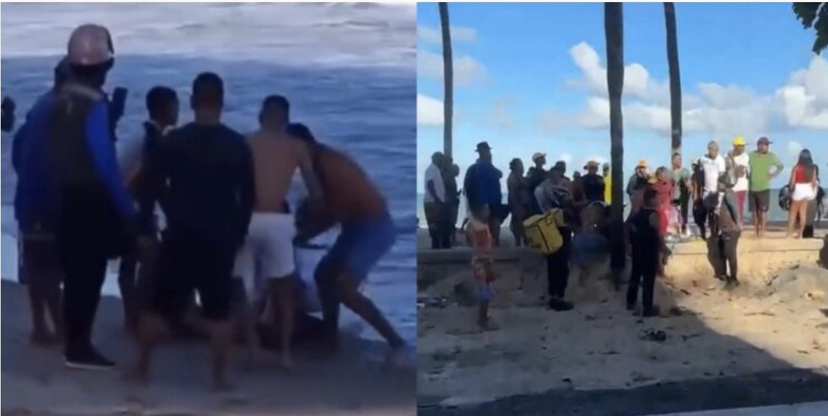 Novo ataque de tubarão assusta banhistas em Boa Viagem e acende alerta no litoral pernambucano